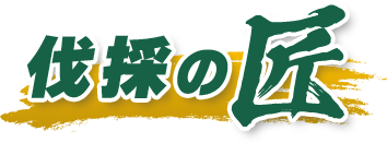 世田谷区、杉並区、調布市エリアの伐採・剪定・草刈は【伐採の匠】にお任せください！